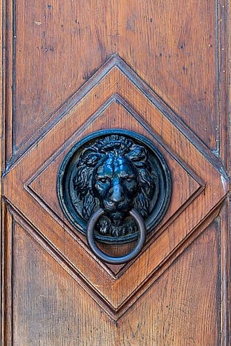 Vienna, Austria. Old wooden door with lion door knocker. Architecture Print